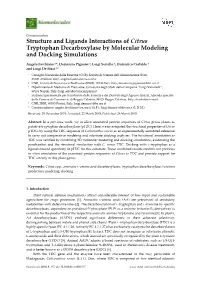 Structure and Ligands Interactions of Citrus Tryptophan Decarboxylase by Molecular Modeling and Docking Simulations