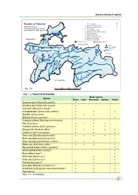 CBD Strategy and Action Plan