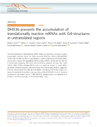 DHX36 Prevents the Accumulation of Translationally Inactive Mrnas with G4-Structures in Untranslated Regions