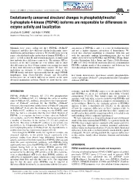 Evolutionarily Conserved Structural Changes in Phosphatidylinositol 5-Phosphate 4-Kinase (PI5P4K) Isoforms Are Responsible for D