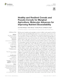Molecular Advances for Improving Nutrient Bioavailability