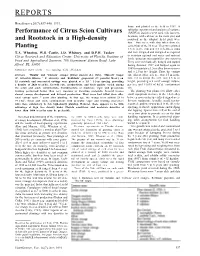 "Performance of Citrus Scion Cultivars and Rootstocks in a High-Density