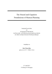 The Neural and Cognitive Foundations of Human Planning