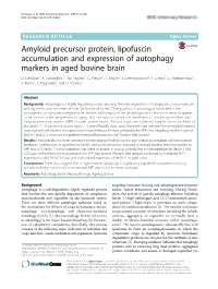 Amyloid Precursor Protein, Lipofuscin Accumulation and Expression of Autophagy Markers in Aged Bovine Brain D