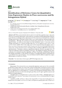 Identification of Reference Genes for Quantitative Gene Expression