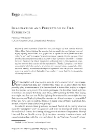 Imagination and Perception in Film Experience