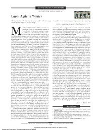 Lapin Agile in Winter