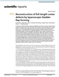 Reconstruction of Full-Length Ureter Defects by Laparoscopic Bladder