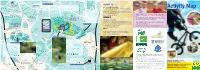 Activity Map Train Information