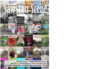 April–May 2020 with All Our Usual Features PLUS