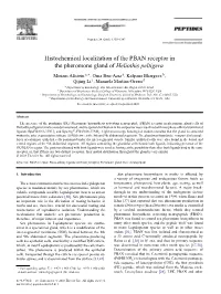 Histochemical Localization of the PBAN Receptor in the Pheromone
