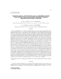 Description and Crystal Structure