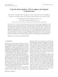 Calycosin Down-Regulates C-Met to Suppress Development of Glioblastomas