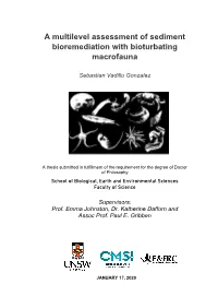 A Multilevel Assessment of Sediment Bioremediation with Bioturbating Macrofauna