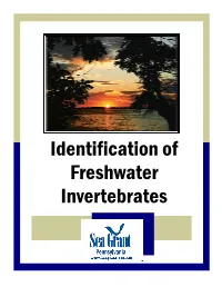 Identification of Freshwater Invertebrates