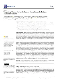 Targeting Tissue Factor to Tumor Vasculature to Induce Tumor Infarction