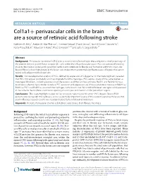 Col1a1+ Perivascular Cells in the Brain Are a Source of Retinoic Acid Following Stroke