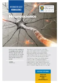 NEUROSCIENCE Neuroscience the Science of the Brain
