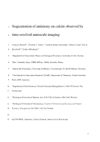 Sequestration of Antimony on Calcite Observed By