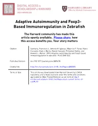Adaptive Autoimmunity and Foxp3- Based Immunoregulation in Zebrafish