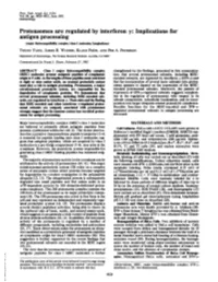 Antigen Processing (Major Hbitocompatlbility Complex/Class I Moecules/Lymphokines) YOUNG YANG, JAMES B