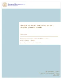 Cellular Automata Analysis of Life As a Complex Physical System