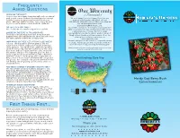 Hardy Goji Berry Bush FREQUENTLY ASKED QUESTIONS FIRST
