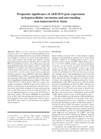 Prognostic Significance of AKR1B10 Gene Expression in Hepatocellular