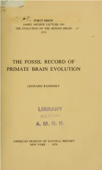 The Fossil Record of Primate Brain Evolution