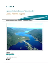 2019 Annual Report