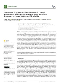 Jasmonates, Ethylene and Brassinosteroids Control Adventitious and Lateral Rooting As Stress Avoidance Responses to Heavy Metals and Metalloids