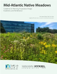 Mid-Atlantic Native Meadows Guidelines for Planning, Preparation, Design, Installation, and Maintenance