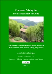 Processes Driving the Forest Transition in China