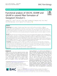 Functional Analysis of Ghchs, Ghanr And
