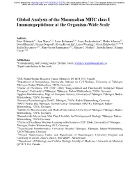 Global Analysis of the Mammalian MHC Class I Immunopeptidome at the Organism-Wide Scale