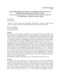 Using Otolith Weight to Predict the Age of Different Stocks of Sperata