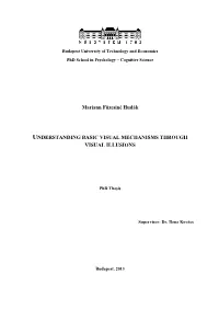 Mariann Füzesiné Hudák UNDERSTANDING BASIC VISUAL