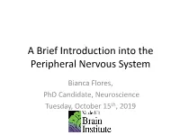 A Brief Introduction Into the Peripheral Nervous System