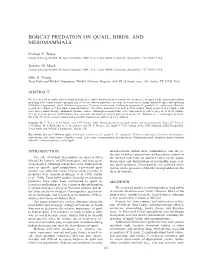 Bobcat Predation on Quail, Birds, and Mesomammals