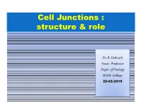 Cell Junctions : Structure & Role