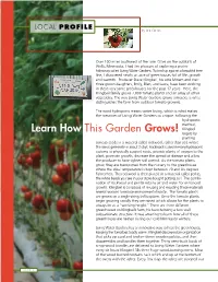 Learn How This Garden Grows! Begins by Planting Tomato Seeds in a Material Called Rockwool, Rather Than Soil, Where the Seeds Germinate in About 3 Days