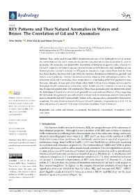 REY Patterns and Their Natural Anomalies in Waters and Brines: the Correlation of Gd and Y Anomalies