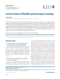 Current Status of Flexible Ureteroscopy in Urology