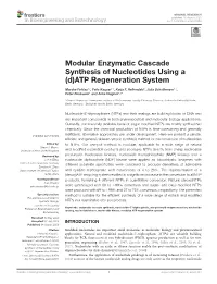 Modular Enzymatic Cascade Synthesis of Nucleotides Using a (D)ATP Regeneration System