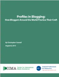 Profiles in Blogging: How Bloggers Around the World Practice Their Craft