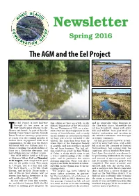 Spring 2016 Newsletter