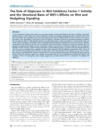 The Role of Glypicans in Wnt Inhibitory Factor-1 Activity and the Structural Basis of Wif1’S Effects on Wnt and Hedgehog Signaling
