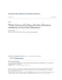 Winter Surveys of Cotinus Obovatus (American Smoketree) in the Ozark Mountains Gary R
