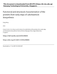 Functional and Structural Characterization of the Proteins from Early Steps of Calicheamicin Biosynthesis