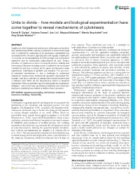 How Models and Biological Experimentation Have Come Together to Reveal Mechanisms of Cytokinesis Daniel B
